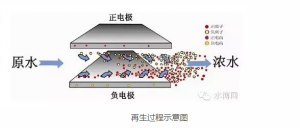 再生处理过程